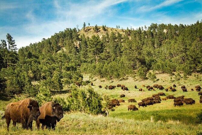 Full-Day Private Sightseeing Tour in South Dakota - Itinerary and Inclusions