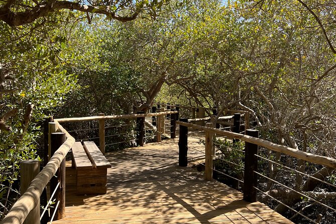 Full-Day Private Tour in Kalba Mangroves And Khor Fakkan - Itinerary Details