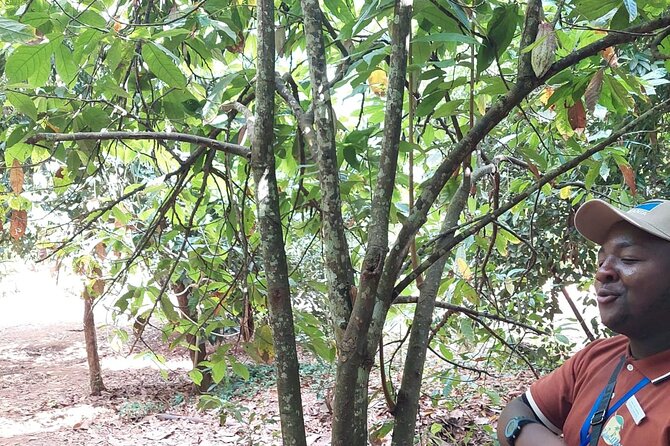 Full Day Private Tour in Stone Town+Prison Island and Spice Farm - Accessibility Features