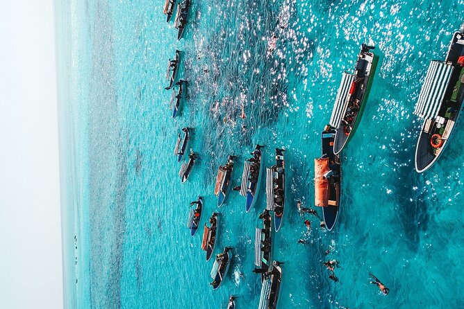Full-Day Private Tour in Zanzibar With Baraka Aquirium - Meeting and Pickup Details
