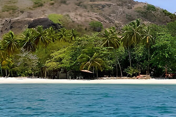 Full-Day Private Tour of El Totumo and Manzanillo With Lunch - Highlights of the Tour