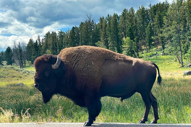 Full-Day Private Tour of Yellowstone - Inclusions and Amenities