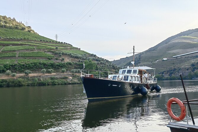 Full Day Private Tour to Douro - Vintage Experience - Pickup Information
