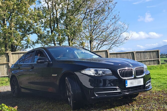 Full Day Private Tour to The Cliffs of Moher, Bunratty Castle - Meeting and Pickup