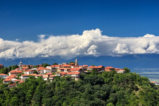 Full Day Private Wine Tasting Tour In Kakheti Region - Inclusions and Highlights