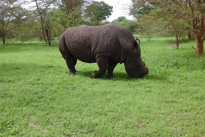 FULL-DAY SAFARI and PINK LAKE TOUR (Minimum 2 Pax) - Accessibility Considerations