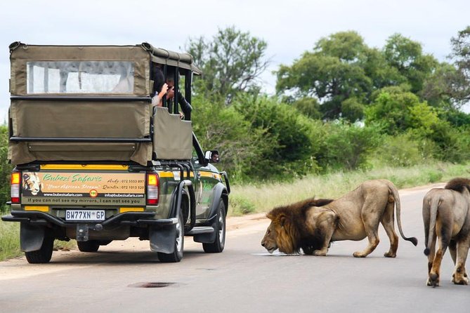 Full Day Safari - Kruger National Park - Inclusions and Pricing