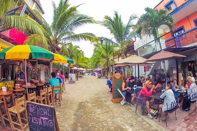 Full-Day Sayulita and San Pancho From Puerto Vallarta - Tour Experience and Activities