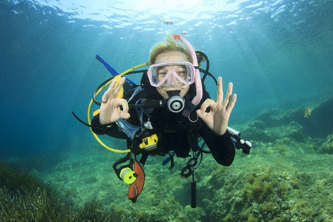 Full-day Scuba Diving Experience for Beginners & Lunch - Sharm El Sheikh - Inclusions and Logistics