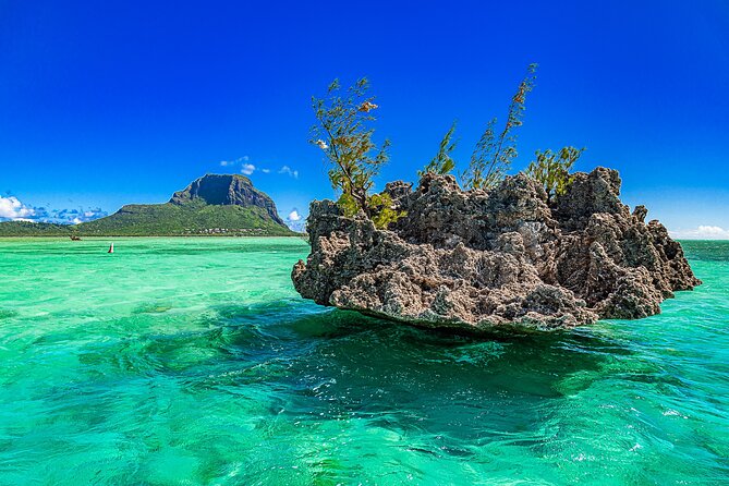 Full Day Shared Speedboat Tour - South West Lagoon Dolphin Swim - Dolphin Encounter Experiences