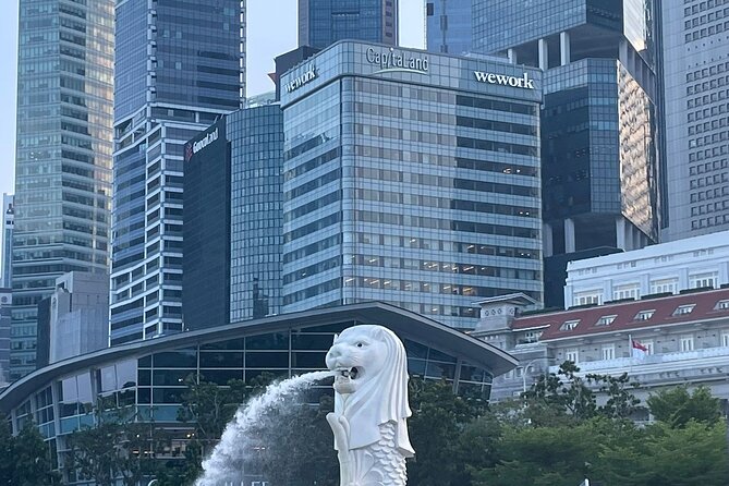 Full Day Singapore City Tour (With Flyer,Skypark and GBB) - Pricing Details