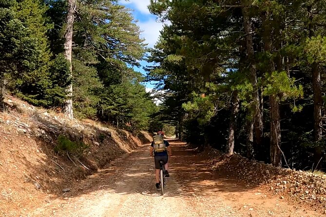 Full-Day Small-Group Hiking and Cycling Tour From Taygetos to Sparti - Health and Safety Information
