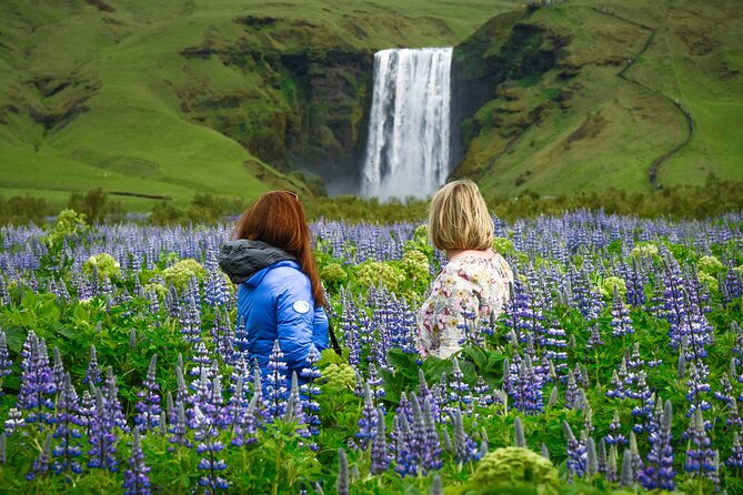 Full-Day South Coast Tour & Glacier Hike - With Photo Package - Whats Included