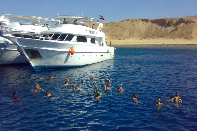 Full Day Tiran Island Snorkeling Sea Trip & Lunch With Transfer - Sharm Elsheikh - Ratings and Feedback