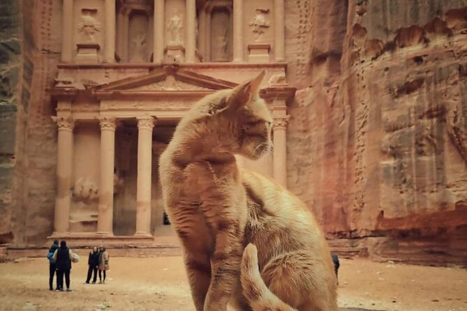 Full Day Tour Petra and Wadi Rum From Amman or Dead Sea - Petra: An Ancient Wonder