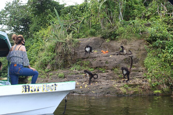 Full Day Tour to Catemaco and Los Tuxtlas With Transportation - Inclusions