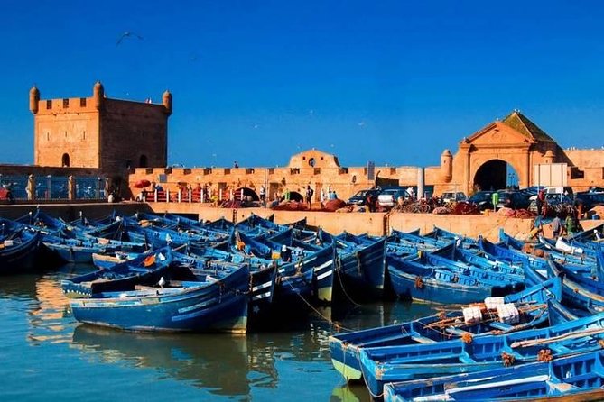 Full Day Tour to Essaouira From Marrakech - Reviews and Traveler Feedback