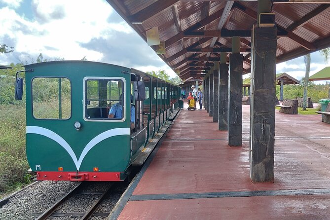 Full-Day Tour to Iguazu Falls Brazil and Argentina - Included Experiences