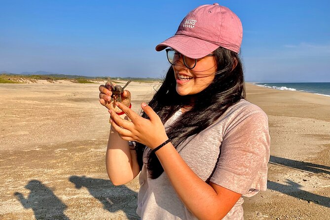 Full Day Tour Turtle Release and Bioluminescence - Guest Reviews and Experiences