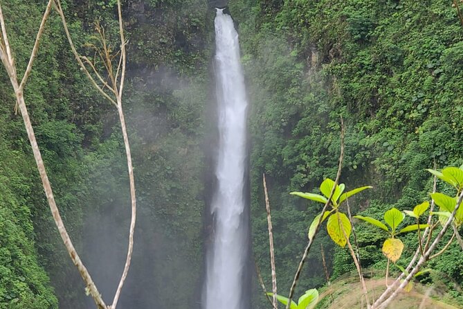 Full-Day Vara Blanca Hike Tour - Itinerary and Activities