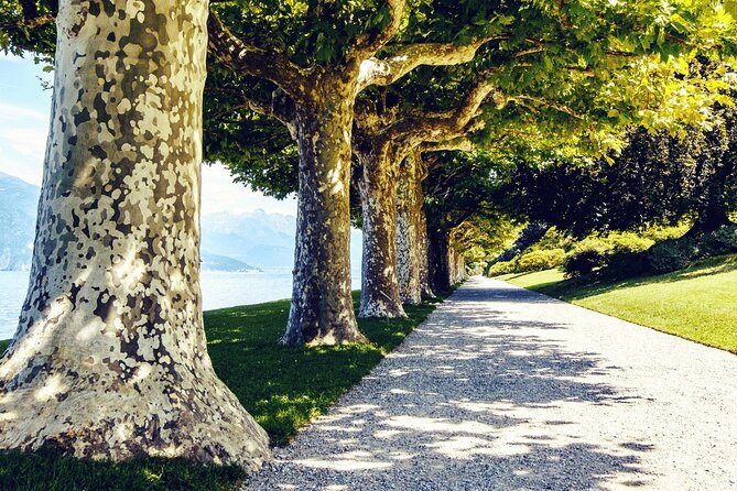Full-Day Villas of Lake Como From Varenna, Bellagio and Tremezzo - Accessibility and Participation