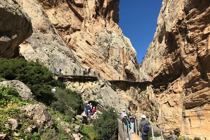 Full Day Walking Tour to Caminito Del Rey - Inclusions