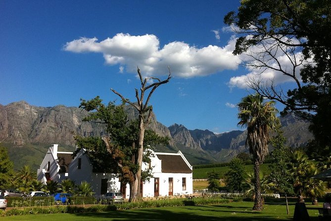 Full-Day Whale Watching and Wine Tasting Tour From Cape Town - Whale Watching Experience