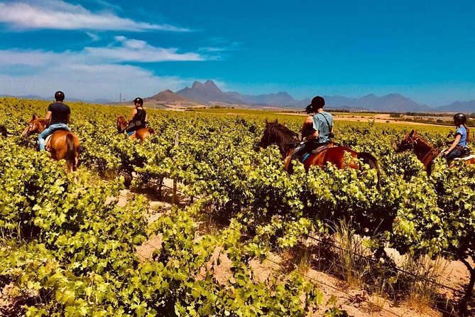Full Day Wine Tour With Lunch And Tastings - Meeting and Pickup Details