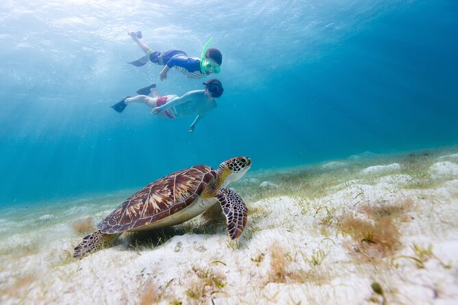 Full or Half Day Private Power Catamaran- USVI Beach and Snorkel - Meeting and End Points