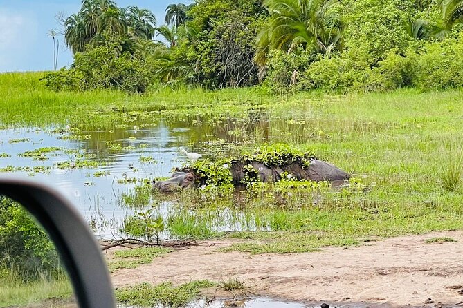 Full-Private Akagera Boat Cruise and Game Drive - Meeting Point and Pickup