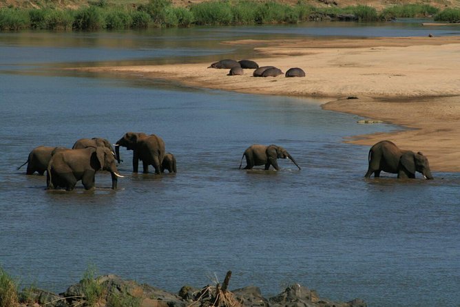 Fully Inclusive Pilanesbserg Safari From Johannesburg - Guided Game Drive Experience