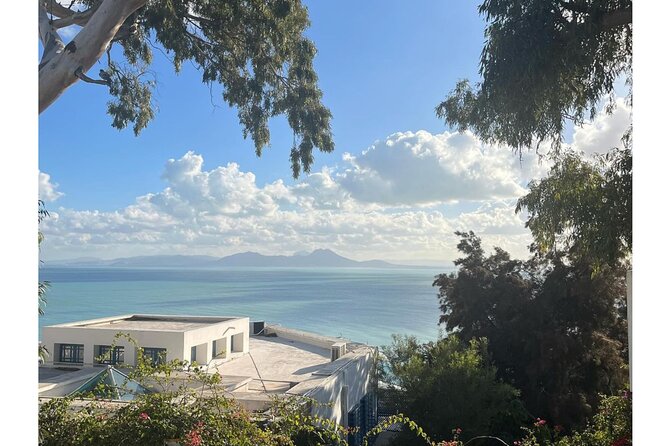 Fun VIP Tour: Tunis, Sidi Bou Said, Carthage | PICKUP ALL CITIES! - Pickup and Communication