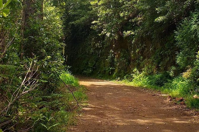 Funchal Half-Day 4WD Tour With Market Stop - Meeting and Pickup Details