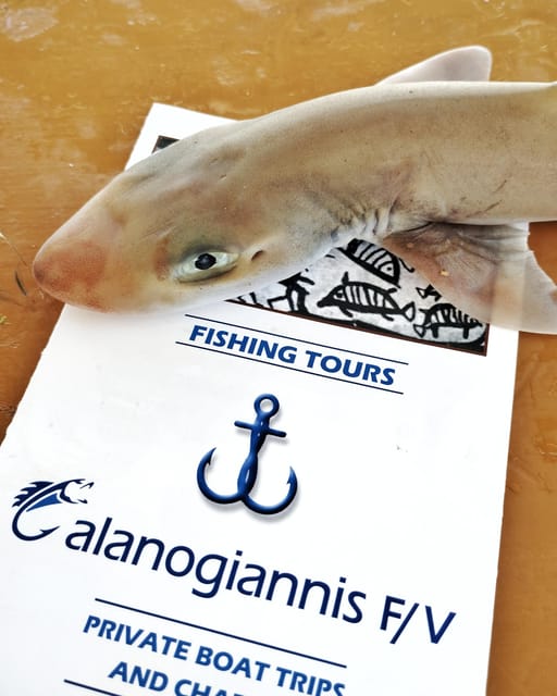 Galanogiannis: Fishing, Free Diving, and Island Hopping Tour - Culinary Experience