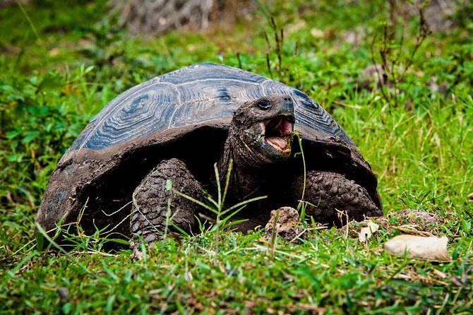 Galapagos By Land And Sea 4d-3n - Physical Fitness and Accessibility