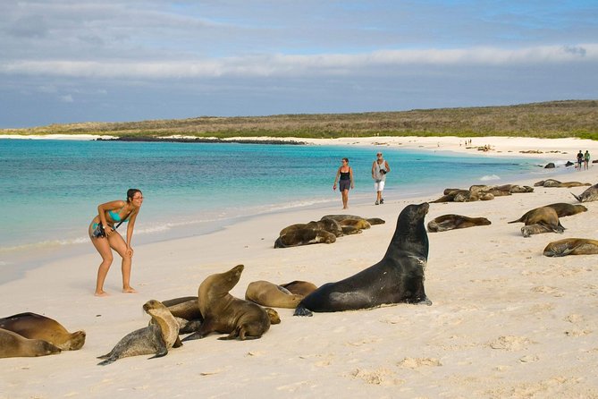 Galapagos - Exploring San Cristobal Island 4 Days - Exploring Kicker Rock