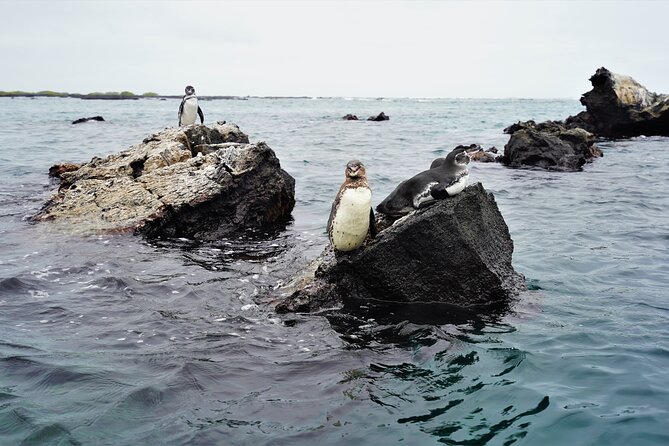 Galapagos Multisport Expedition 8 Days - Meeting and Pickup Information