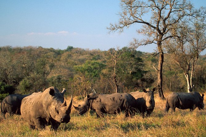 Game Drive And Rhino Walk - Meeting and Pickup Details