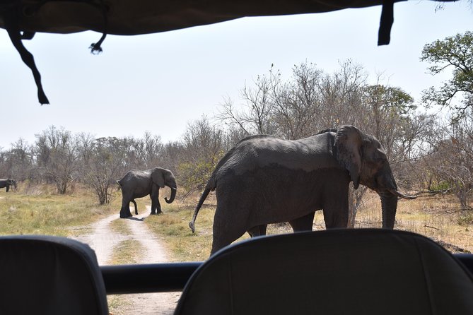 Game Drives - Participant Requirements