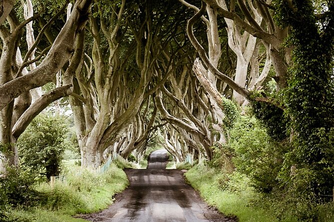 Game of Thrones Private Tour From Portrush Area - Inclusions and Amenities