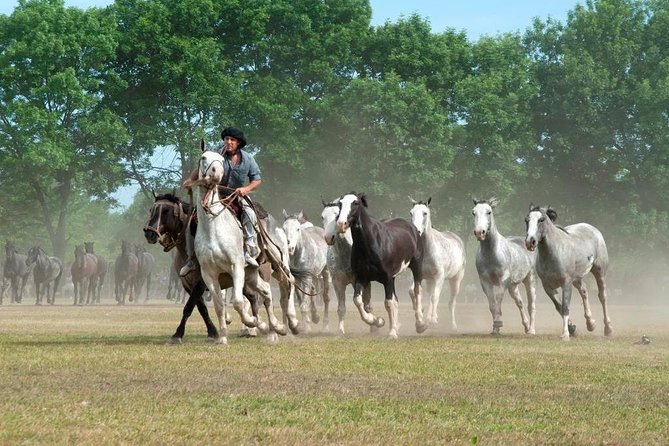 Gaucho Fiesta With Lunch - Full Day Tour - Meeting and Pickup