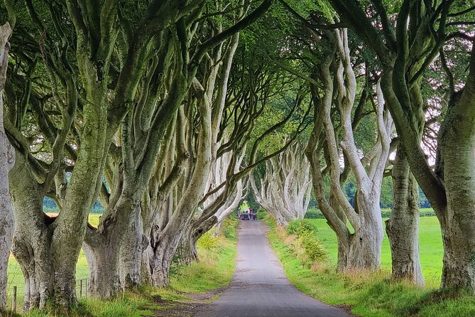 Giants Causeway Express Tour - Tour Experience