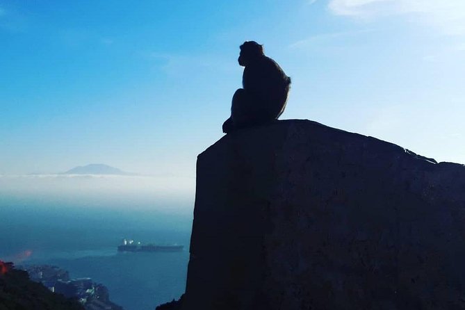 Gibraltar Sightseeing : Extended Rock Tour / Shore Excursion (Private) - Transportation and Pickup Options