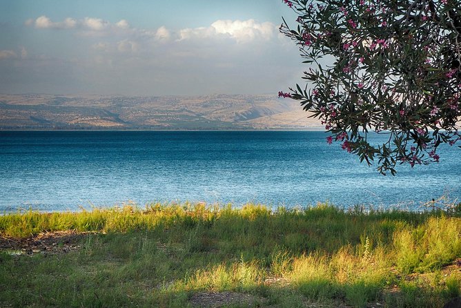 Golan Heights Biblical Day Trip From Tel Aviv - Pickup and Confirmation Details