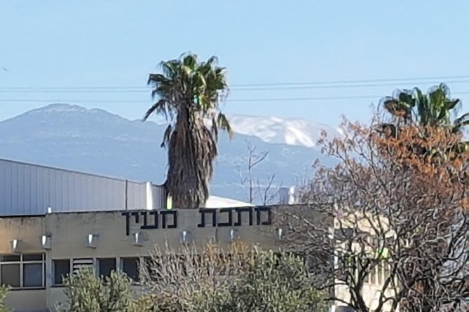 Golan Heights Private Tour From Tel Aviv - Itinerary Details
