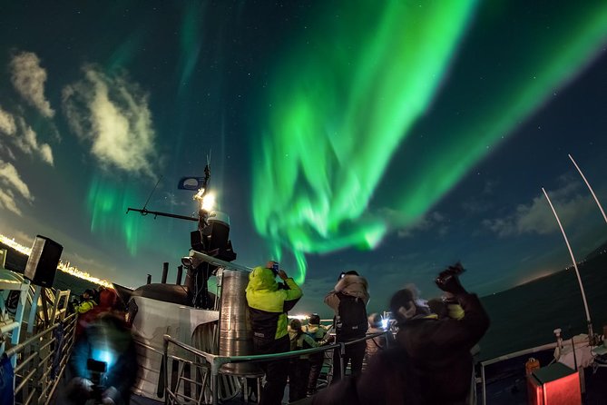 Golden Circle Tour and Evening Northern Lights Cruise From Reykjavik - Evening Cruise