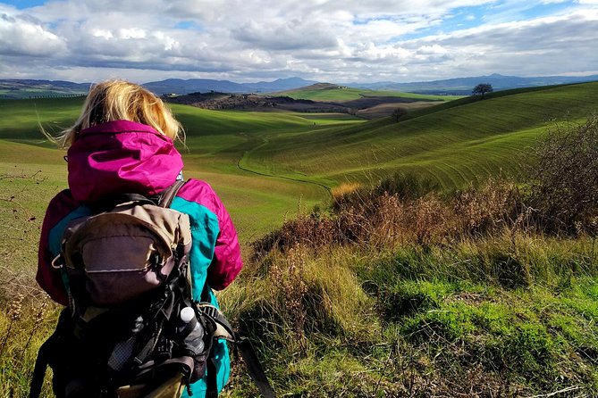 Grand Tour of Pienza, Montalcino, Montepulciano + Wine and Cheese Tasting - Winery Visit and Brunello Tasting