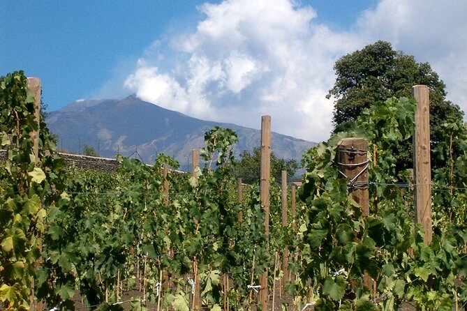 Grand Wine Tour From Catania or Taormina - Exploring Wineries