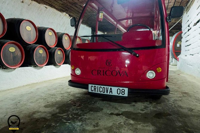 GROUP - Cricova Winery With Tasting - Group Inclusions
