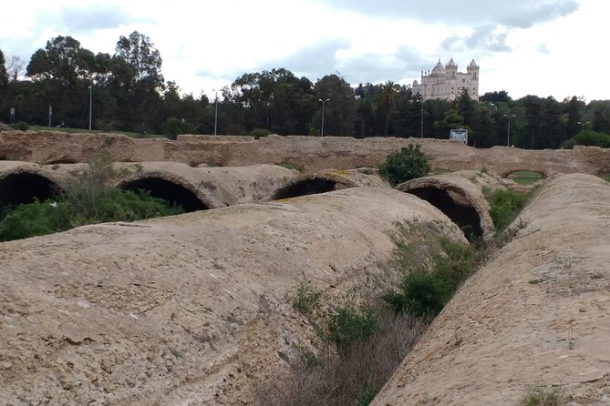 Group Guided Bike Tour of Carthage Archeological Site in Tunisia - Inclusions and Requirements